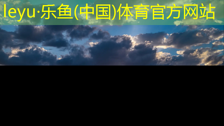 leyu·乐鱼(中国)体育官方网站,塑胶跑道封层材料